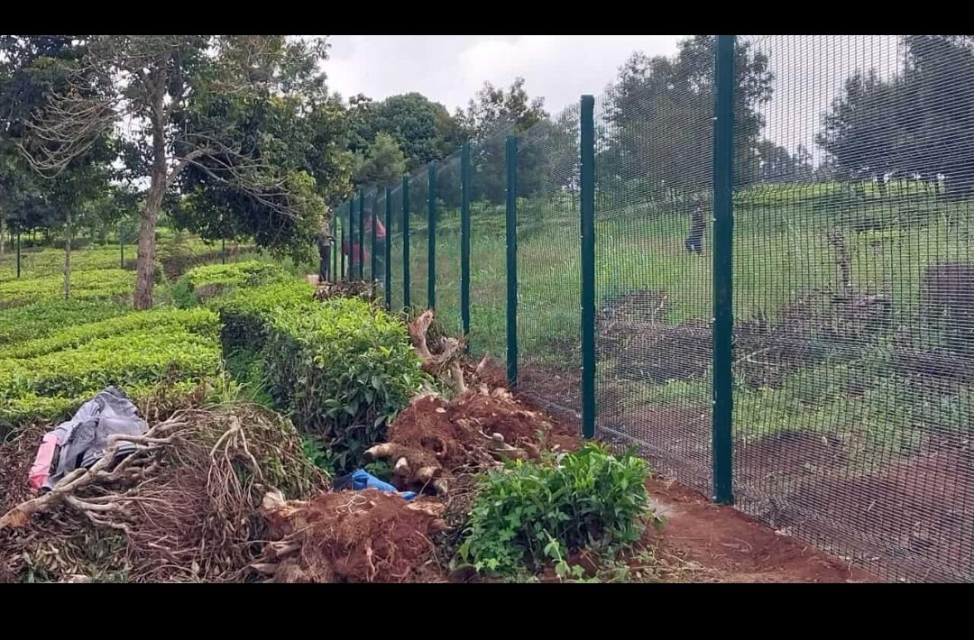 Fencing installation 1
