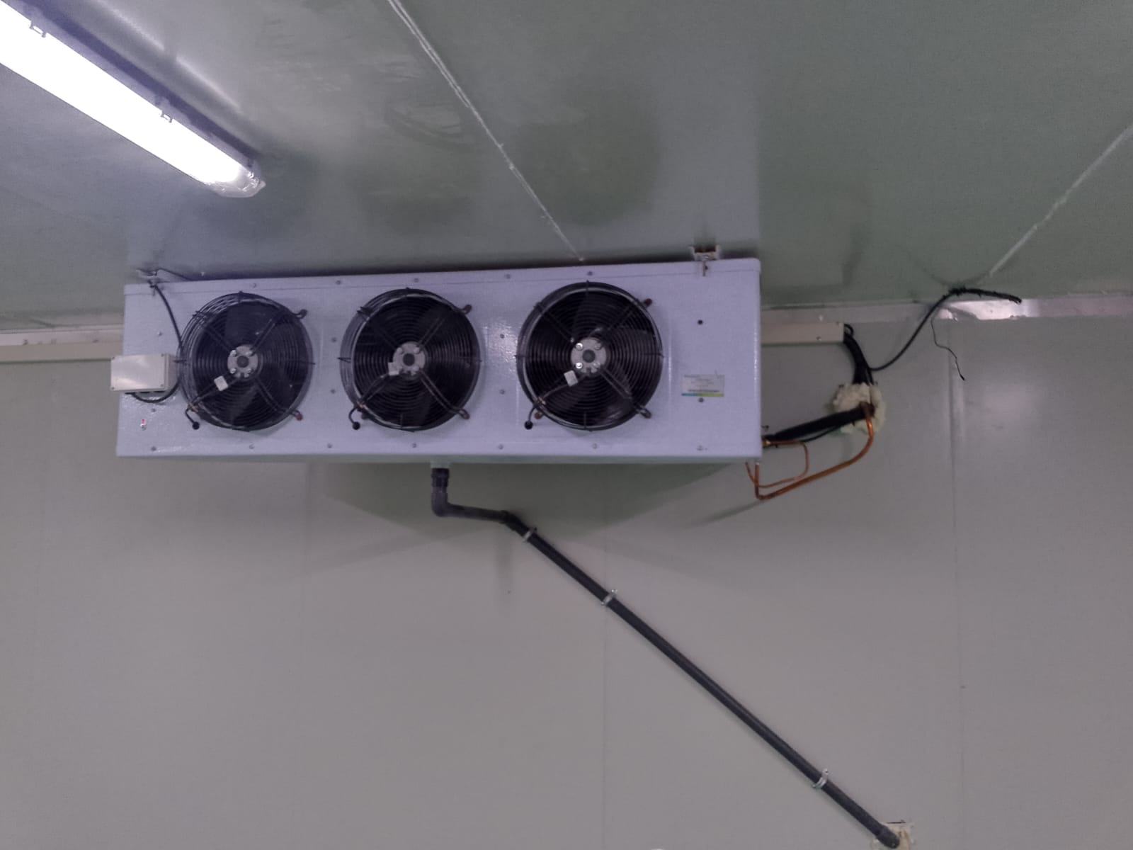 Cold room interior