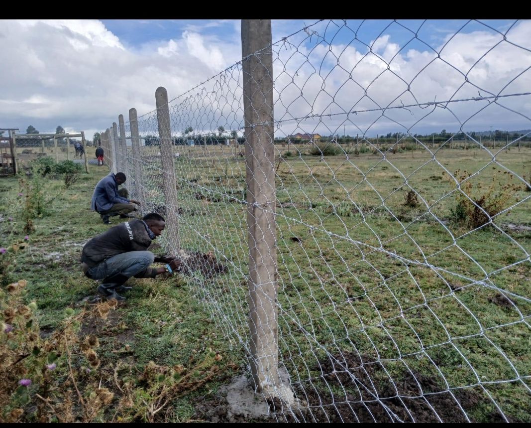 Fencing installation 4